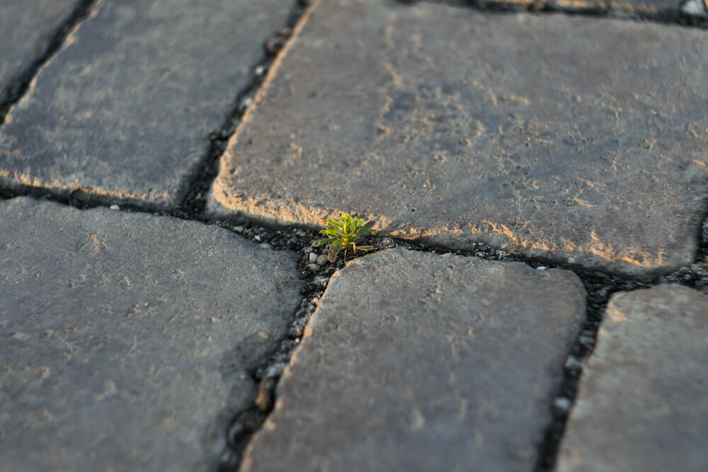 10 compelling reasons to invest in paving