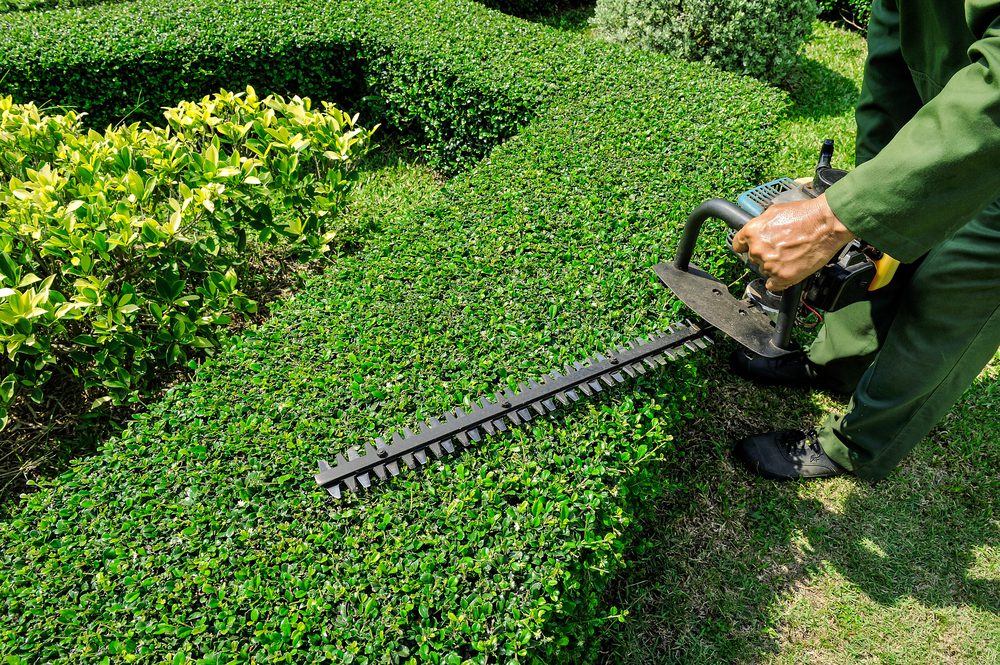 Expert Landscaping Contractors