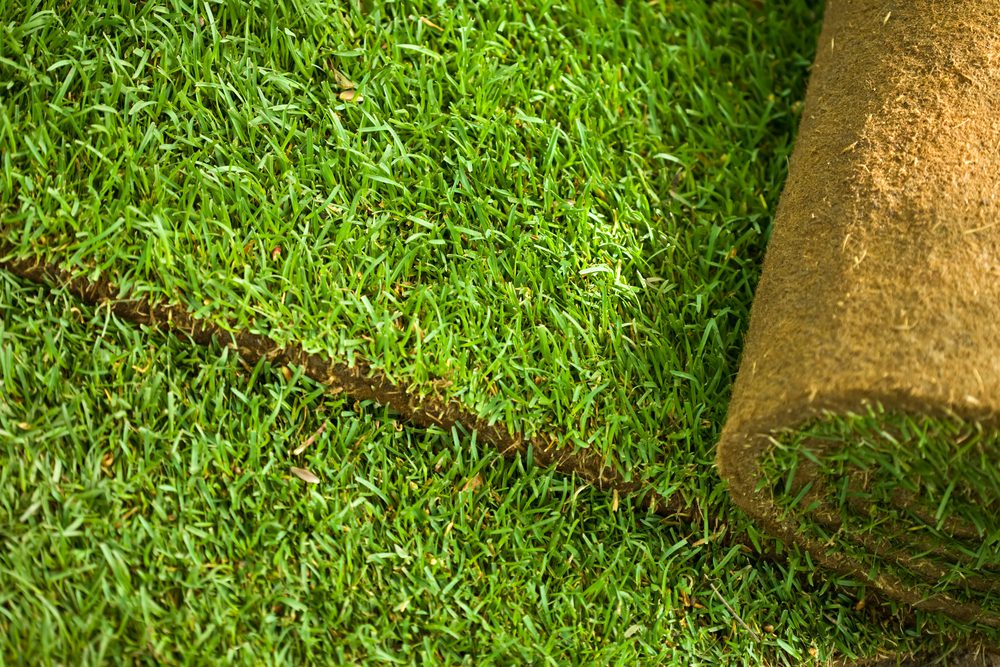 Lawn Maintenance and Repair Service in Cambridge