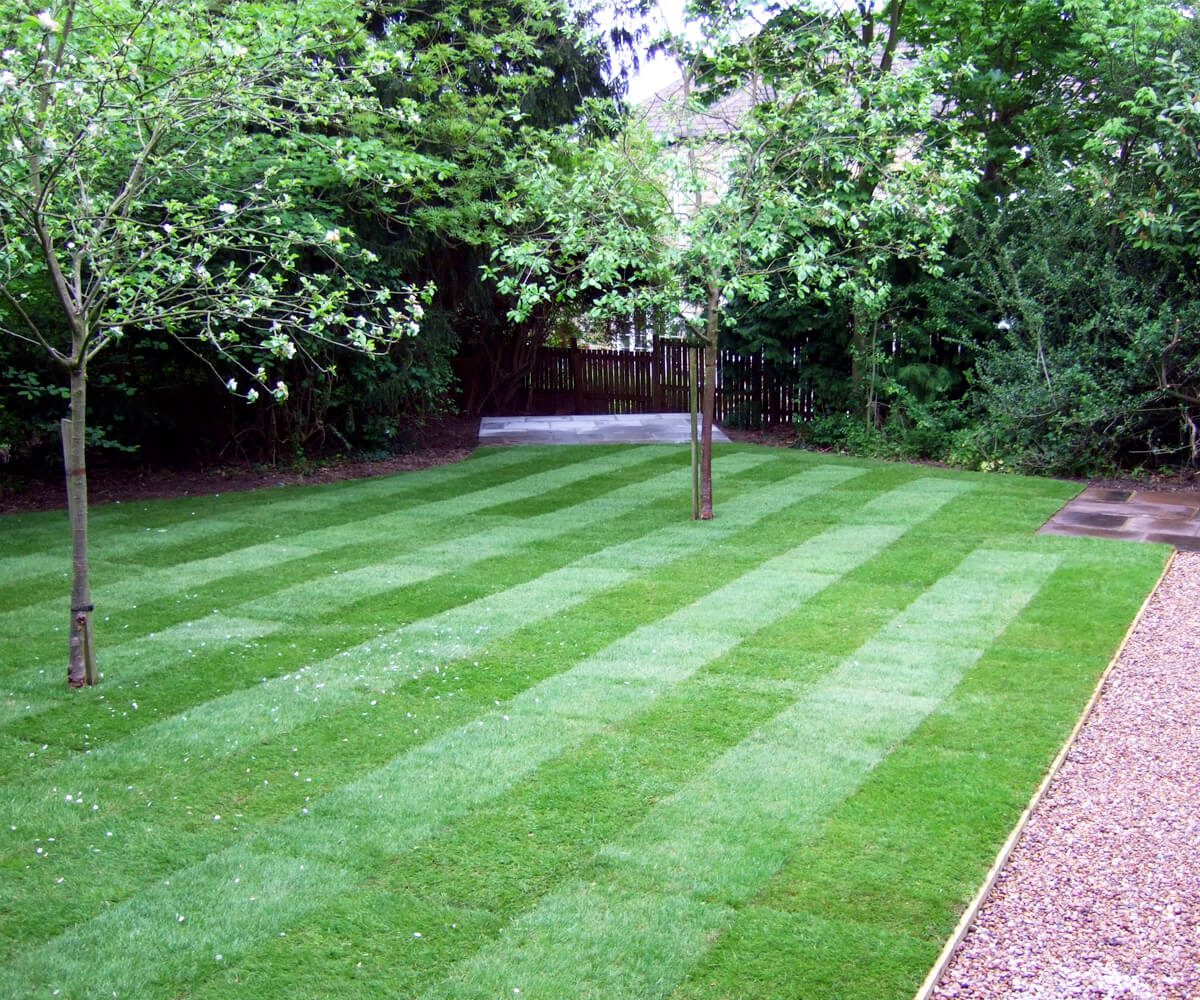 Why Use Cambridge Turfing and Lawn Services