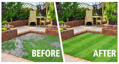Before and After Turfing Before and After Turfing