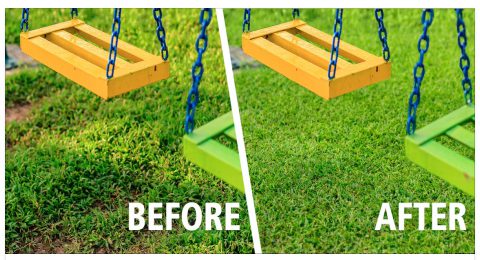 Before and After Turfing Services Before and After Turfing Services