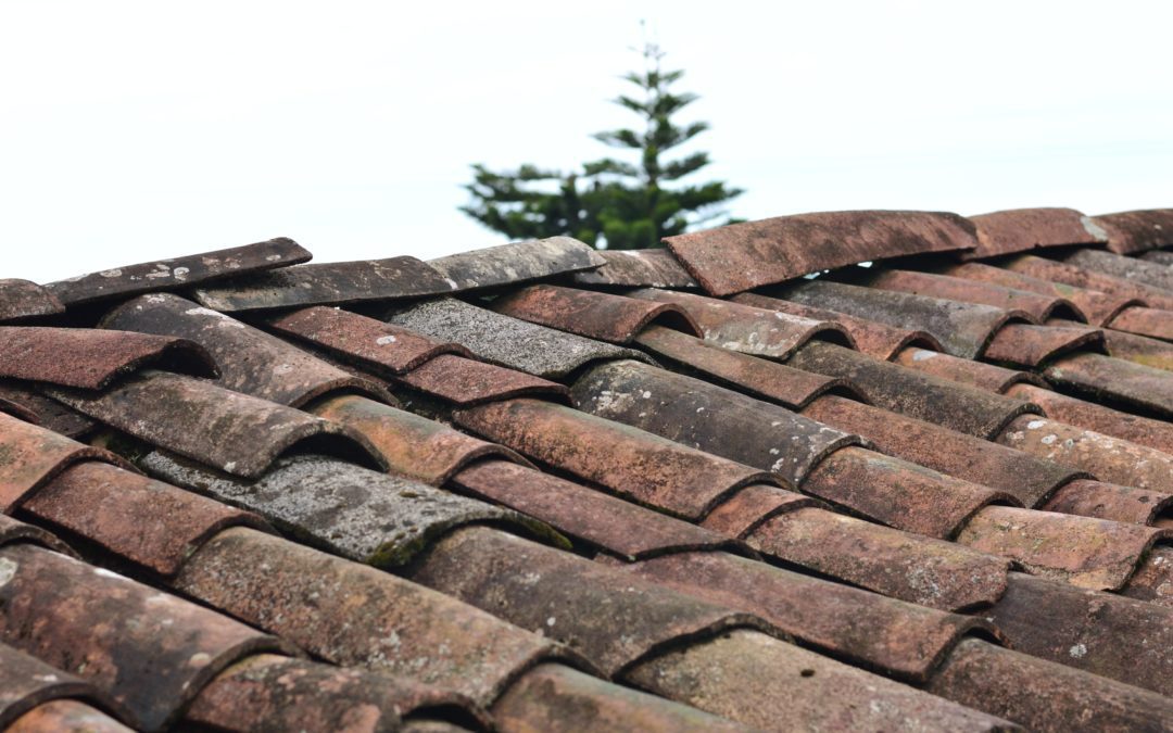 When Should You Replace Your Roof?