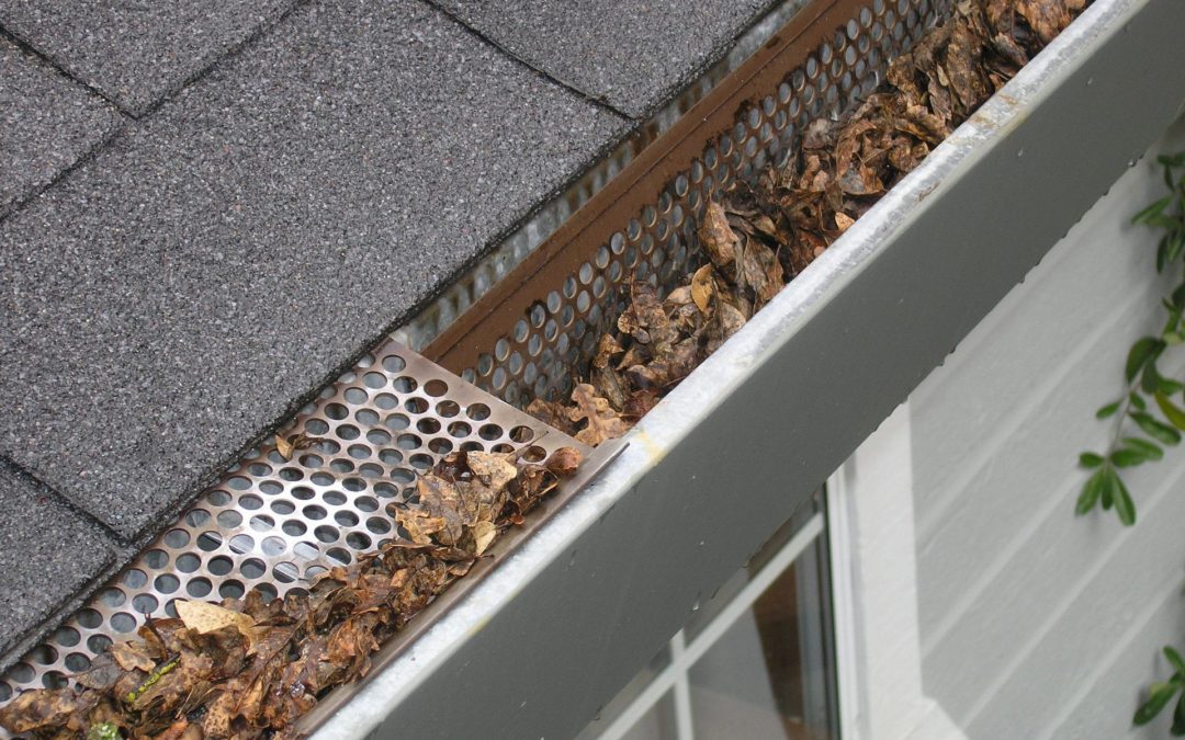 Do Gutter Guards Actually Work?