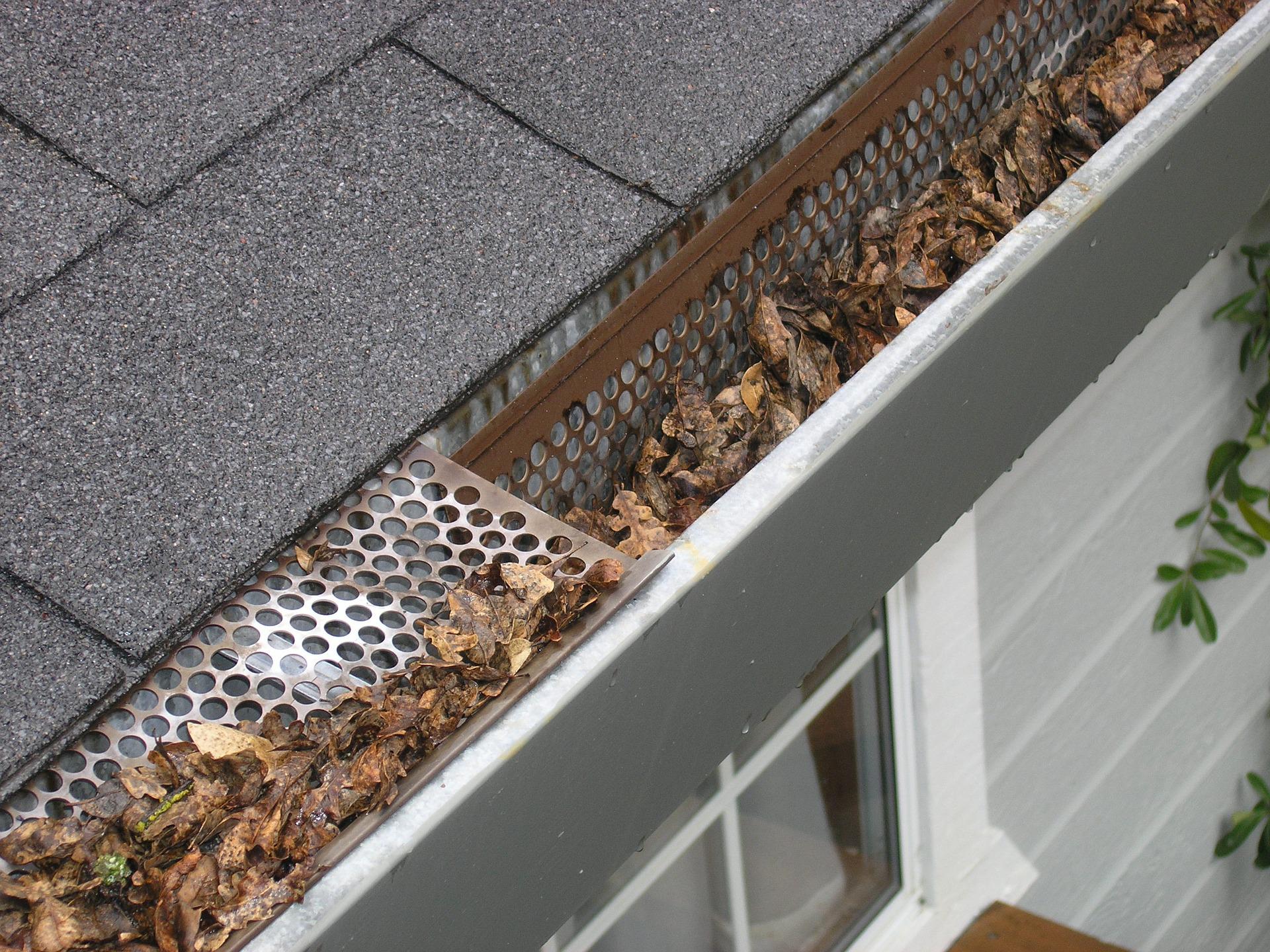 Do Gutter Guards Actually Work? ELT Home Improvements